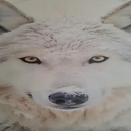 Ecstatic Paradise Apartment Podgorica