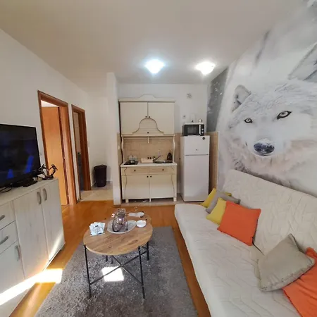 Apartment Ecstatic Paradise Podgorica