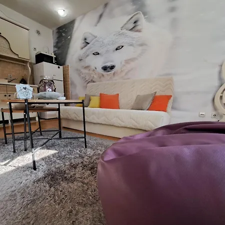 Ecstatic Paradise * Podgorica