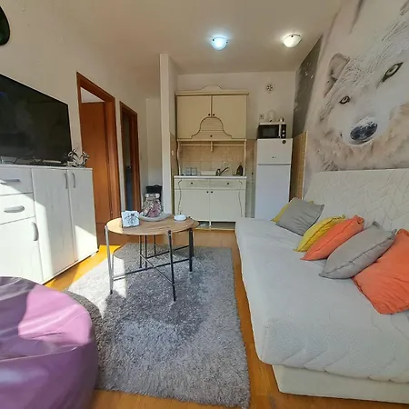 Ecstatic Paradise Apartment