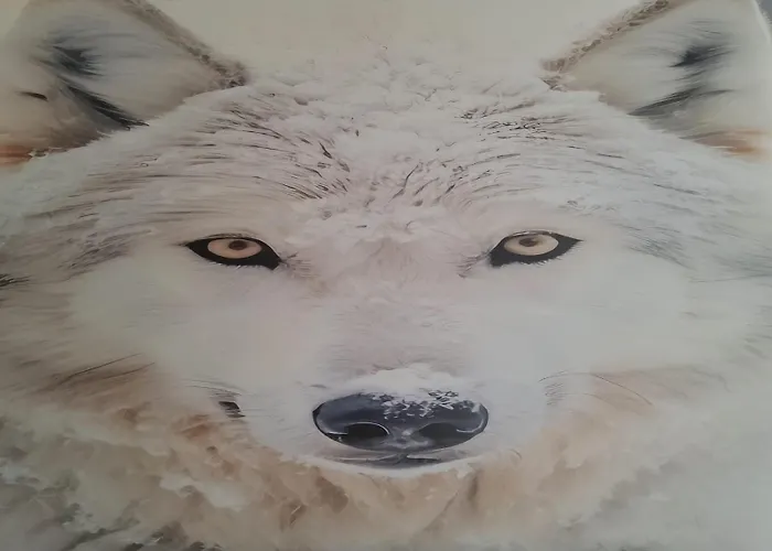 Ecstatic Paradise Appartement Podgorica