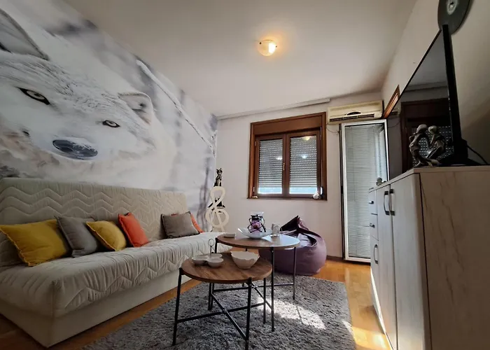 Ecstatic Paradise * Podgorica