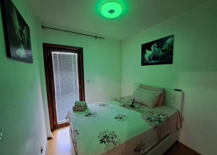 Ecstatic Paradise * Podgorica