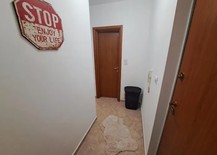 Ecstatic Paradise Podgorica