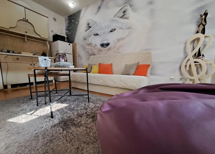 Ecstatic Paradise * Podgorica