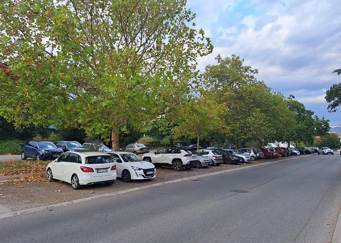 Ecstatic Paradise Daire *