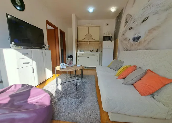 Ecstatic Paradise Appartement